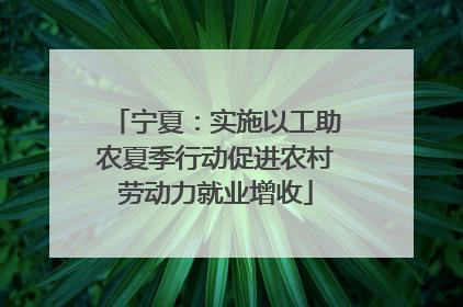 宁夏：实施以工助农夏季行动促进农村劳动力就业增收