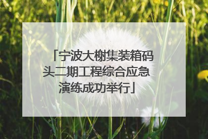 宁波大榭集装箱码头二期工程综合应急演练成功举行