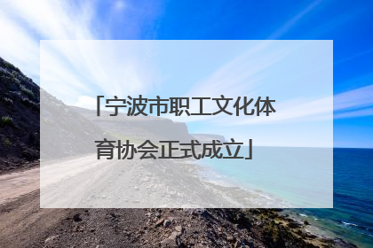 宁波市职工文化体育协会正式成立