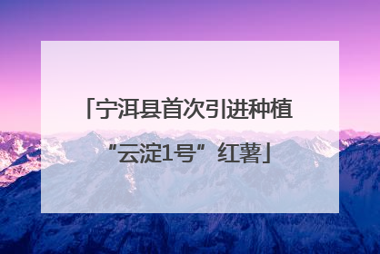 宁洱县首次引进种植“云淀1号”红薯