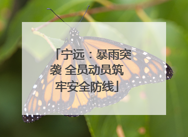 宁远：暴雨突袭 全员动员筑牢安全防线