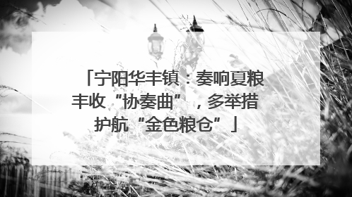 宁阳华丰镇：奏响夏粮丰收“协奏曲”，多举措护航“金色粮仓”