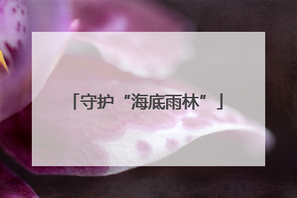 守护“海底雨林”