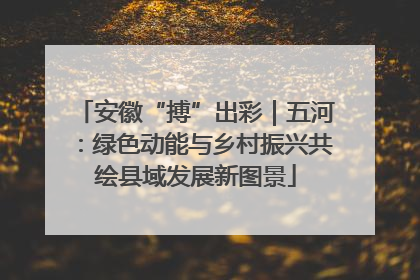 安徽“搏”出彩｜五河：绿色动能与乡村振兴共绘县域发展新图景