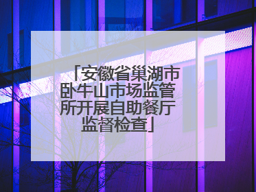 安徽省巢湖市卧牛山市场监管所开展自助餐厅监督检查