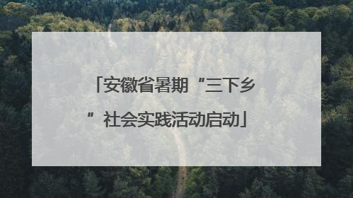 安徽省暑期“三下乡”社会实践活动启动