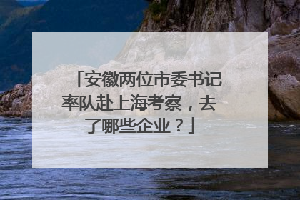 安徽两位市委书记率队赴上海考察，去了哪些企业？