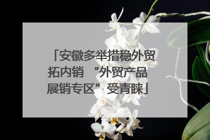 安徽多举措稳外贸拓内销 “外贸产品展销专区”受青睐