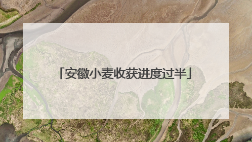 安徽小麦收获进度过半