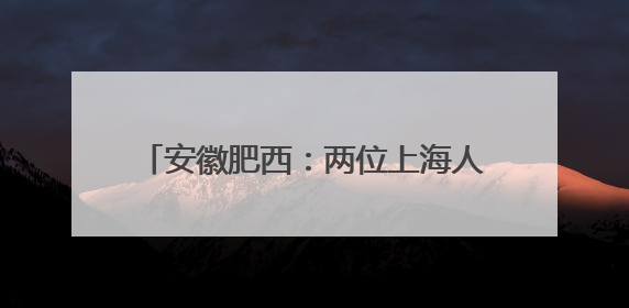 安徽肥西：两位上海人“链上”肥西的背后