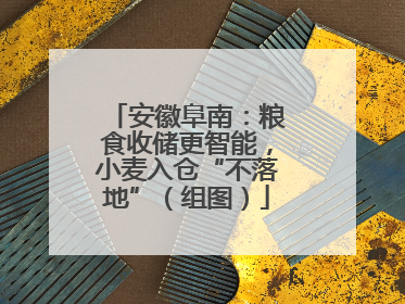 安徽阜南：粮食收储更智能，小麦入仓“不落地”（组图）