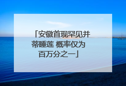 安徽首现罕见并蒂睡莲 概率仅为百万分之一