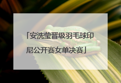 安洗莹晋级羽毛球印尼公开赛女单决赛