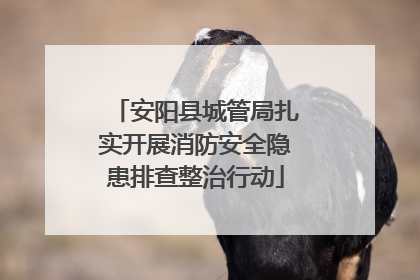 安阳县城管局扎实开展消防安全隐患排查整治行动