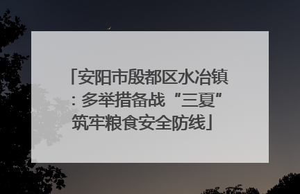 安阳市殷都区水冶镇：多举措备战“三夏” 筑牢粮食安全防线