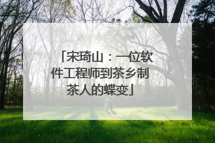 宋琦山：一位软件工程师到茶乡制茶人的蝶变
