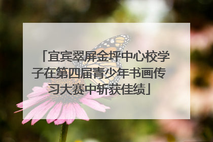宜宾翠屏金坪中心校学子在第四届青少年书画传习大赛中斩获佳绩