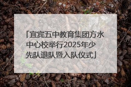 宜宾五中教育集团方水中心校举行2025年少先队退队暨入队仪式