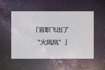 宜职飞出了“火凤凰”