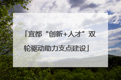 宜都“创新+人才”双轮驱动助力支点建设