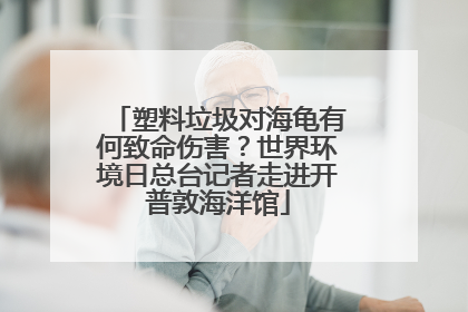 塑料垃圾对海龟有何致命伤害？世界环境日总台记者走进开普敦海洋馆