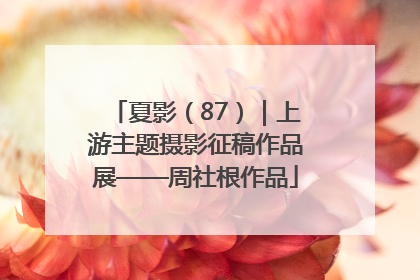 夏影（87）｜上游主题摄影征稿作品展——周社根作品