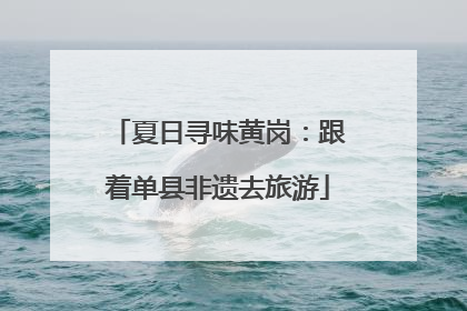 夏日寻味黄岗：跟着单县非遗去旅游