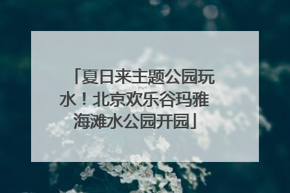夏日来主题公园玩水！北京欢乐谷玛雅海滩水公园开园
