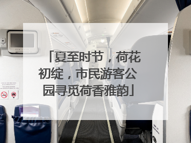 夏至时节，荷花初绽，市民游客公园寻觅荷香雅韵