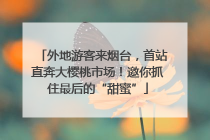 外地游客来烟台，首站直奔大樱桃市场！邀你抓住最后的“甜蜜”