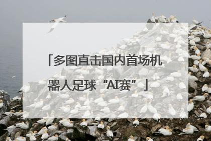 多图直击国内首场机器人足球“AI赛”