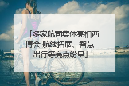 多家航司集体亮相西博会 航线拓展、智慧出行等亮点纷呈