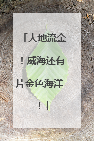 大地流金！威海还有片金色海洋！