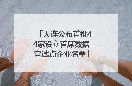 大连公布首批44家设立首席数据官试点企业名单