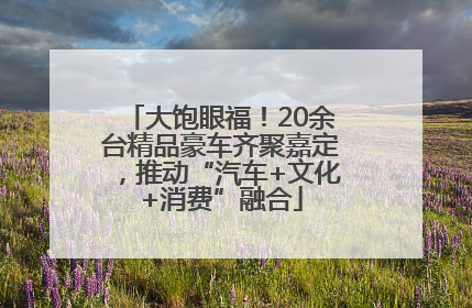大饱眼福！20余台精品豪车齐聚嘉定，推动“汽车+文化+消费”融合