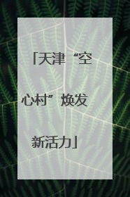 天津“空心村”焕发新活力