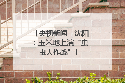 央视新闻｜沈阳：玉米地上演“虫虫大作战”