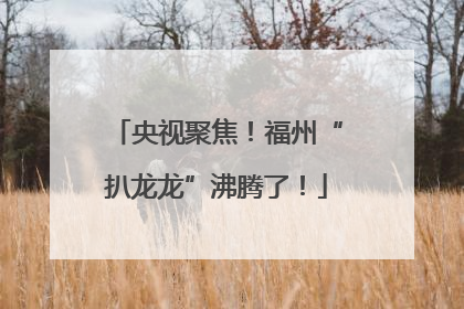 央视聚焦！福州“扒龙龙”沸腾了！