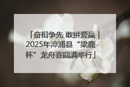 奋楫争先 敢拼爱赢｜2025年漳浦县“梁鹿杯”龙舟赛圆满举行