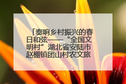 奏响乡村振兴的春日和弦——“全国文明村”湖北省安陆市赵棚镇团山村农文旅融合发展见闻