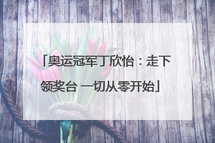 奥运冠军丁欣怡：走下领奖台 一切从零开始