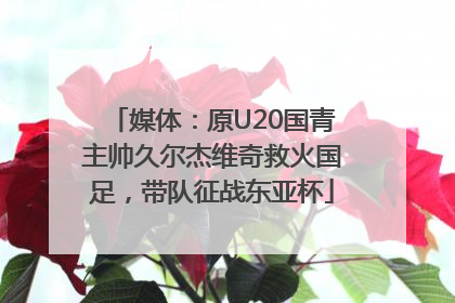 媒体：原U20国青主帅久尔杰维奇救火国足，带队征战东亚杯