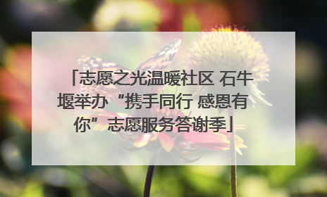 志愿之光温暖社区 石牛堰举办“携手同行 感恩有你”志愿服务答谢季