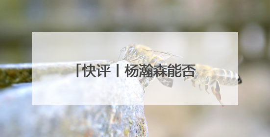 快评丨杨瀚森能否成为下一个姚明？无需轻易给出答案