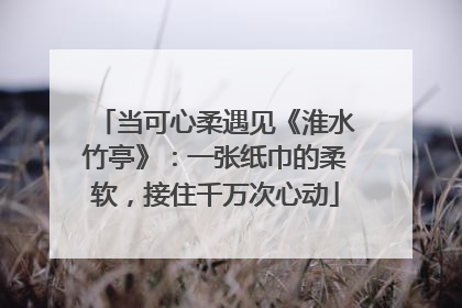 当可心柔遇见《淮水竹亭》：一张纸巾的柔软，接住千万次心动