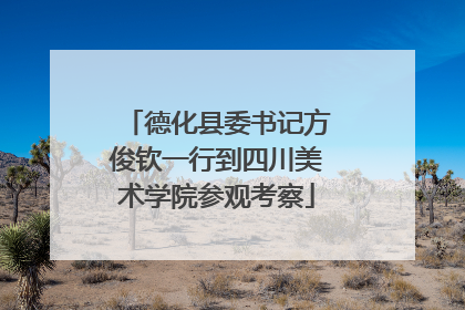 德化县委书记方俊钦一行到四川美术学院参观考察