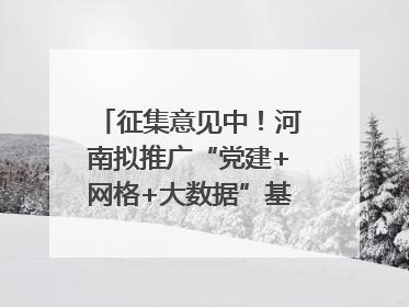 征集意见中！河南拟推广“党建+网格+大数据”基层治理模式
