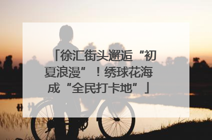 徐汇街头邂逅“初夏浪漫”！绣球花海成“全民打卡地”