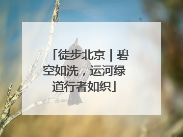 徒步北京｜碧空如洗，运河绿道行者如织
