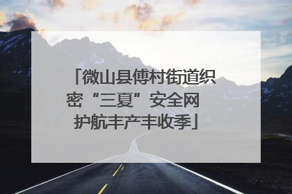 微山县傅村街道织密“三夏”安全网 护航丰产丰收季